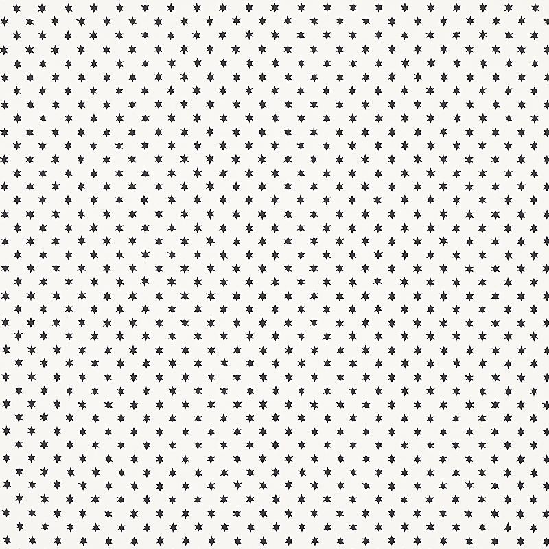 Schumacher Astral Black Wallpaper