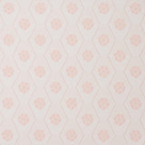 Schumacher Hive Bloom Blush Wallpaper