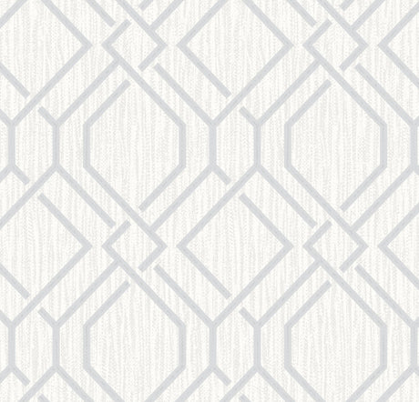 Brewster Home Fashions Frege Silver Trellis Wallpaper