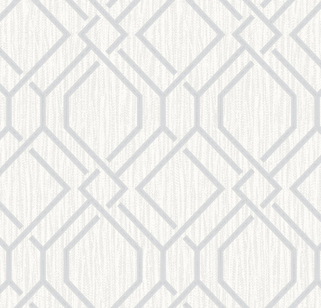 Brewster Home Fashions Frege Silver Trellis Wallpaper