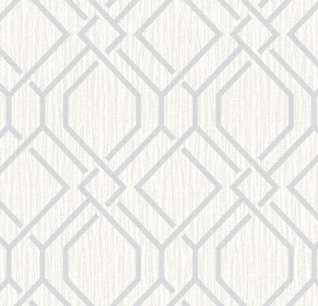 Brewster Home Fashions Frege Trellis Silver Wallpaper