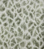 Brewster Home Fashions Montone Grey Giraffe Wallpaper