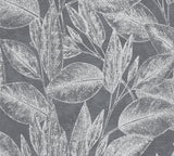 Brewster Home Fashions Suki Leaves Grey Wallpaper