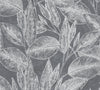 Brewster Home Fashions Suki Grey Leaves Wallpaper