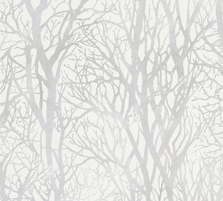 Brewster Home Fashions Yasuo Cream Tree Branch Wallpaper
