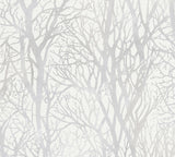 Brewster Home Fashions Yasuo Tree Branch Cream Wallpaper