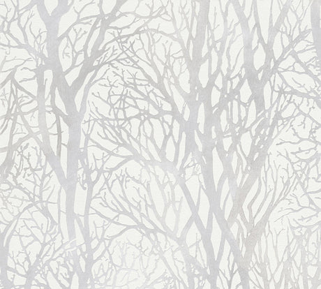 Brewster Home Fashions Yasuo Tree Branch Cream Wallpaper