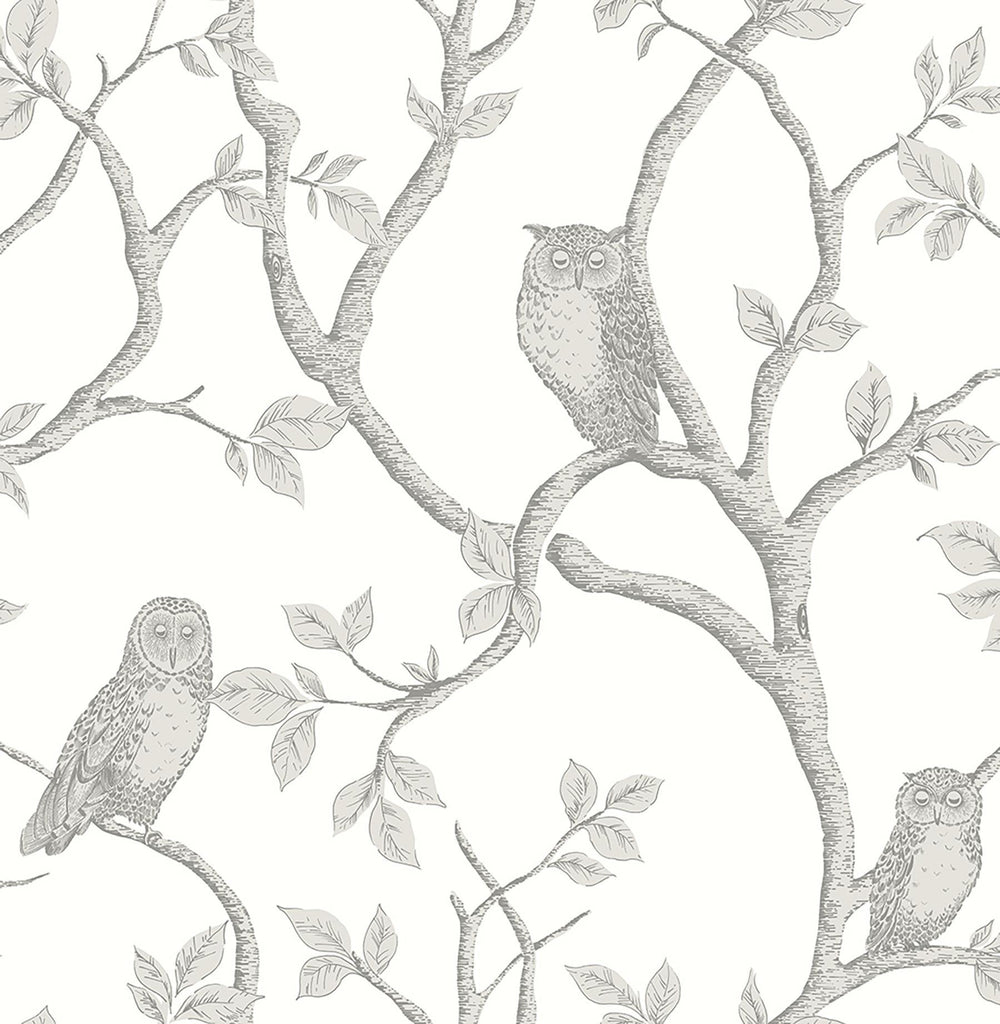 Brewster Home Fashions Enchanted Forest Grey Owl & Tree Wallpaper