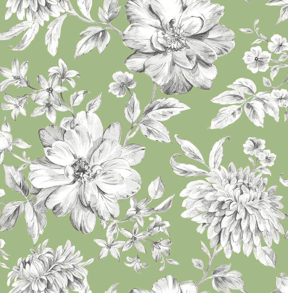 Brewster Home Fashions Gabriela Floral Green  Wallpaper