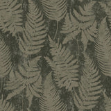 Brewster Home Fashions Whistler Moss Leaf Wallpaper
