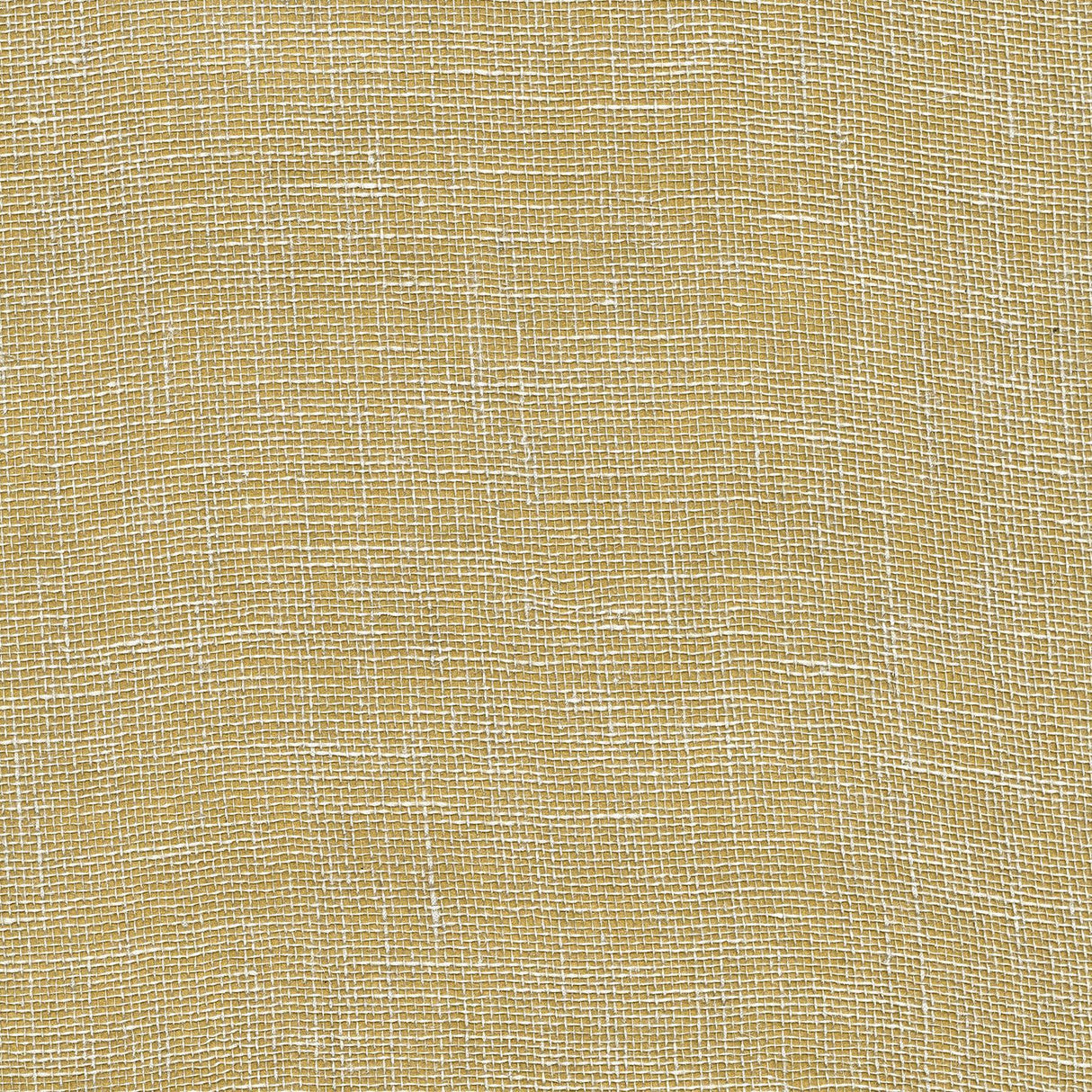 Brewster Home Fashions Leyte Gold Grasscloth Wallpaper