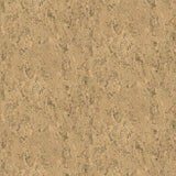 Brewster Home Fashions Lucky Day None 2767-23772 Neutral Wallpaper