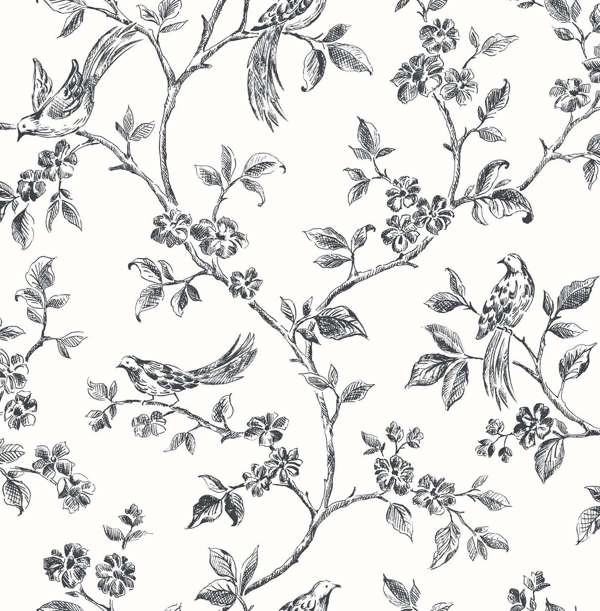 Brewster Home Fashions Ophelia Black Bird Trail Wallpaper