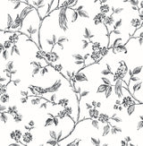 Brewster Home Fashions Ophelia Black Bird Trail Wallpaper