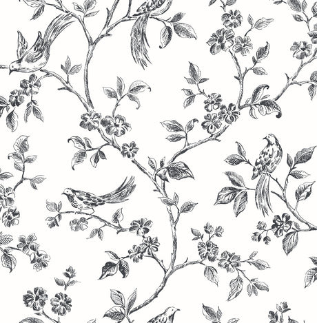 Brewster Home Fashions Ophelia Black Bird Trail Wallpaper