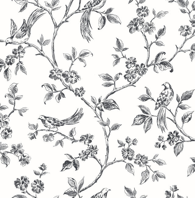 Brewster Home Fashions Ophelia Black Bird Trail Wallpaper