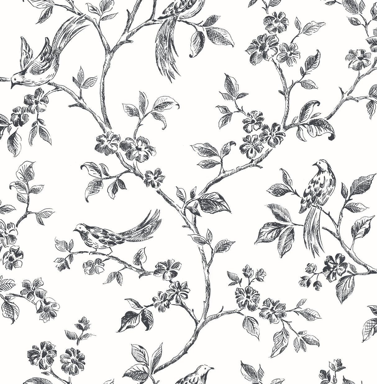 Brewster Home Fashions Ophelia Bird Trail Black Wallpaper