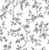 Brewster Home Fashions Ophelia Bird Trail Black Wallpaper