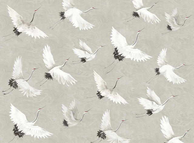 Brewster Home Fashions Crane You Later Dove Grey Wall Mural