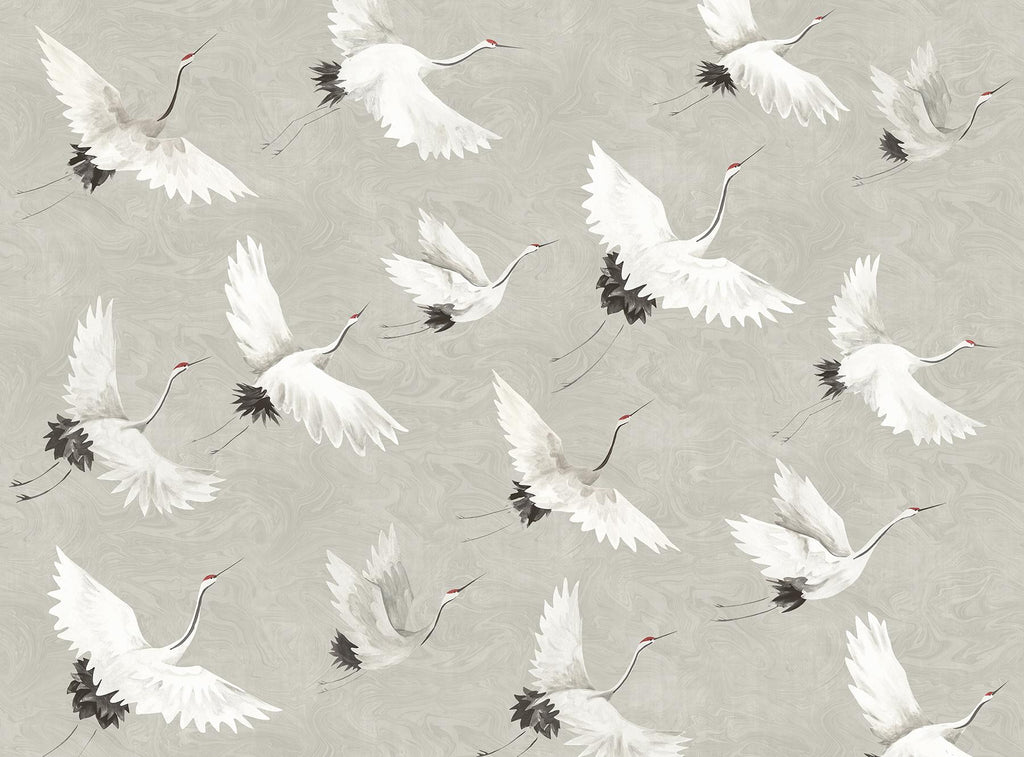 Brewster Home Fashions Crane You Later Dove Grey Wall Mural Greys Wallpaper