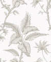 Brewster Home Fashions Cival White Fern Trail Wallpaper