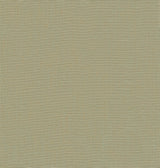 A-Street Prints Yanyu Sage Paper Weave Grasscloth Wallpaper