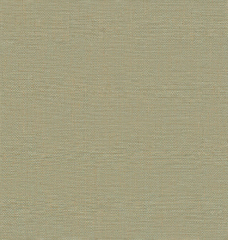 A-Street Prints Yanyu Sage Paper Weave Grasscloth Wallpaper