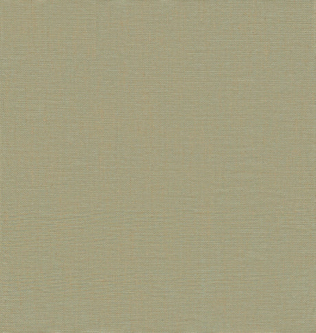 A-Street Prints Yanyu Paper Weave Grasscloth Sage Wallpaper