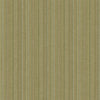 Brewster Home Fashions Olive Multi Stripe Wallpaper