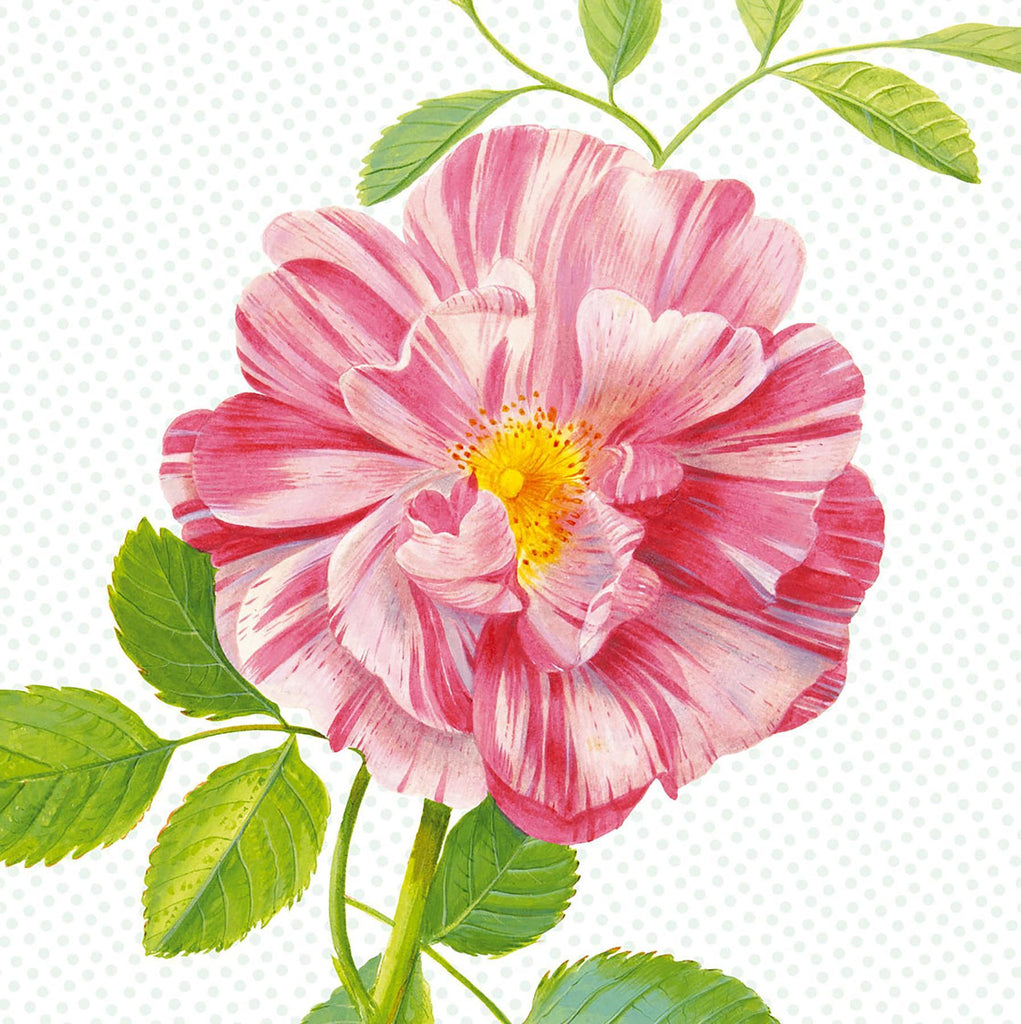 Brewster Home Fashions Peony Wall Mural