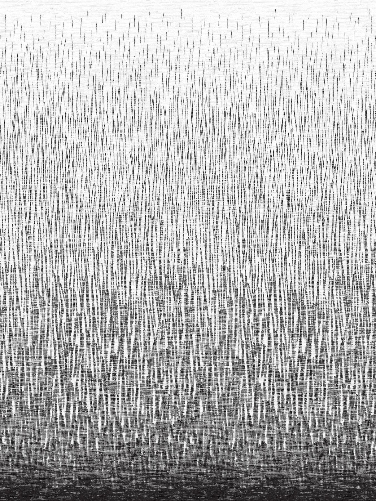 A-Street Prints Amaya Black Wall Mural