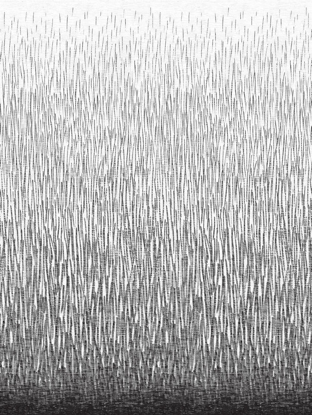 A-Street Prints Amaya Black Wall Mural