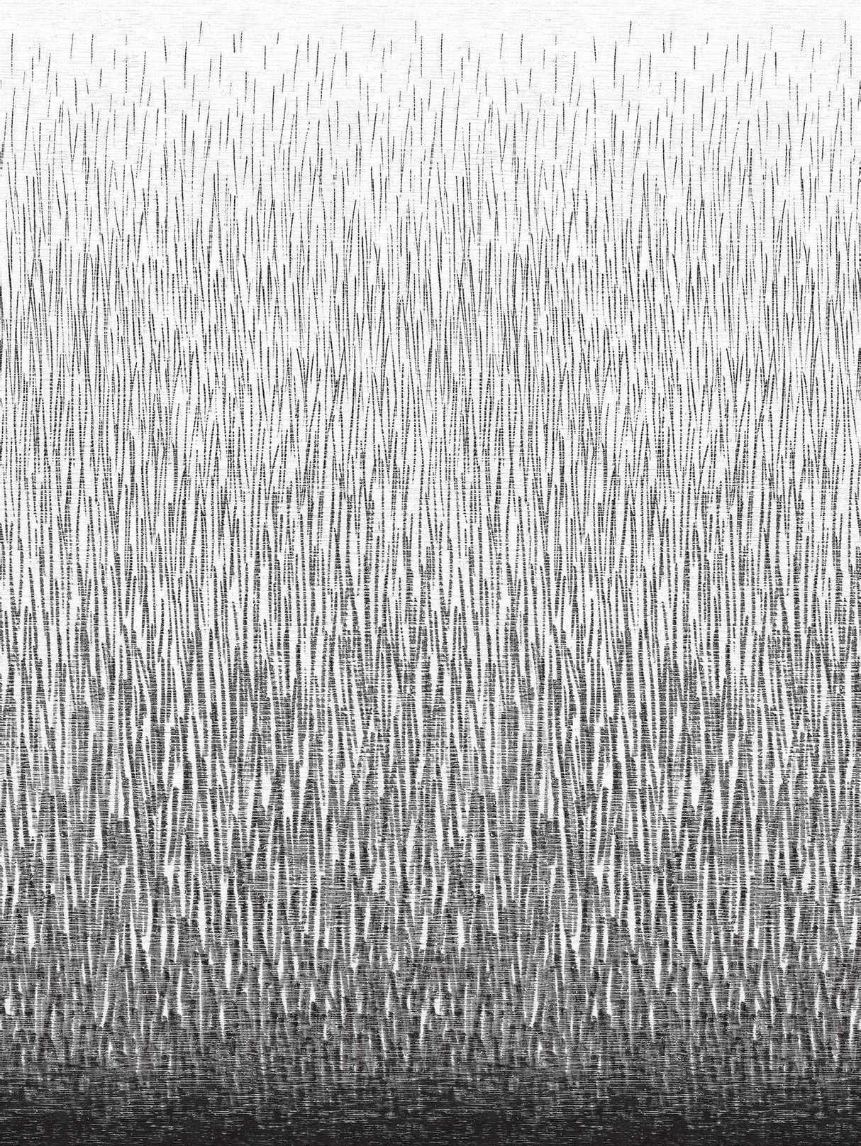 A-Street Prints Amaya Wall Mural Black Wallpaper