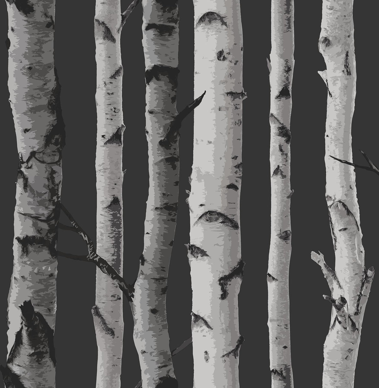 Brewster Home Fashions Distinctive Black Birch Tree Wallpaper