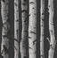 Brewster Home Fashions Distinctive Black Birch Tree Wallpaper