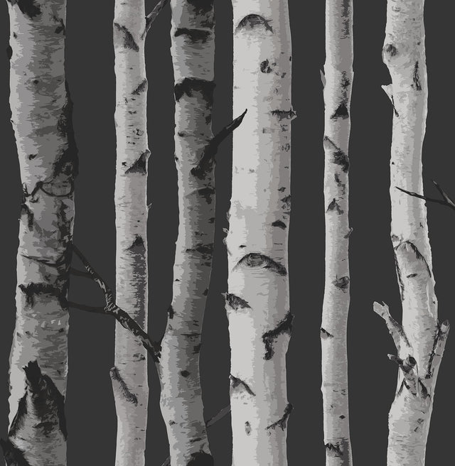 Brewster Home Fashions Distinctive Black Birch Tree Wallpaper