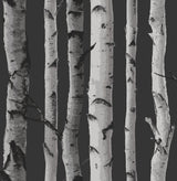 Brewster Home Fashions Distinctive Birch Tree Black Wallpaper
