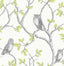 Brewster Home Fashions Linden Green Owl Wallpaper