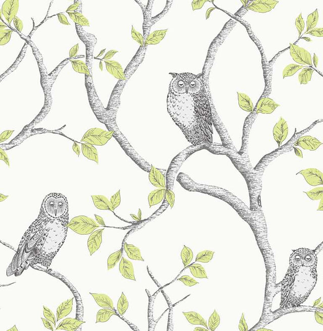 Brewster Home Fashions Linden Green Owl Wallpaper