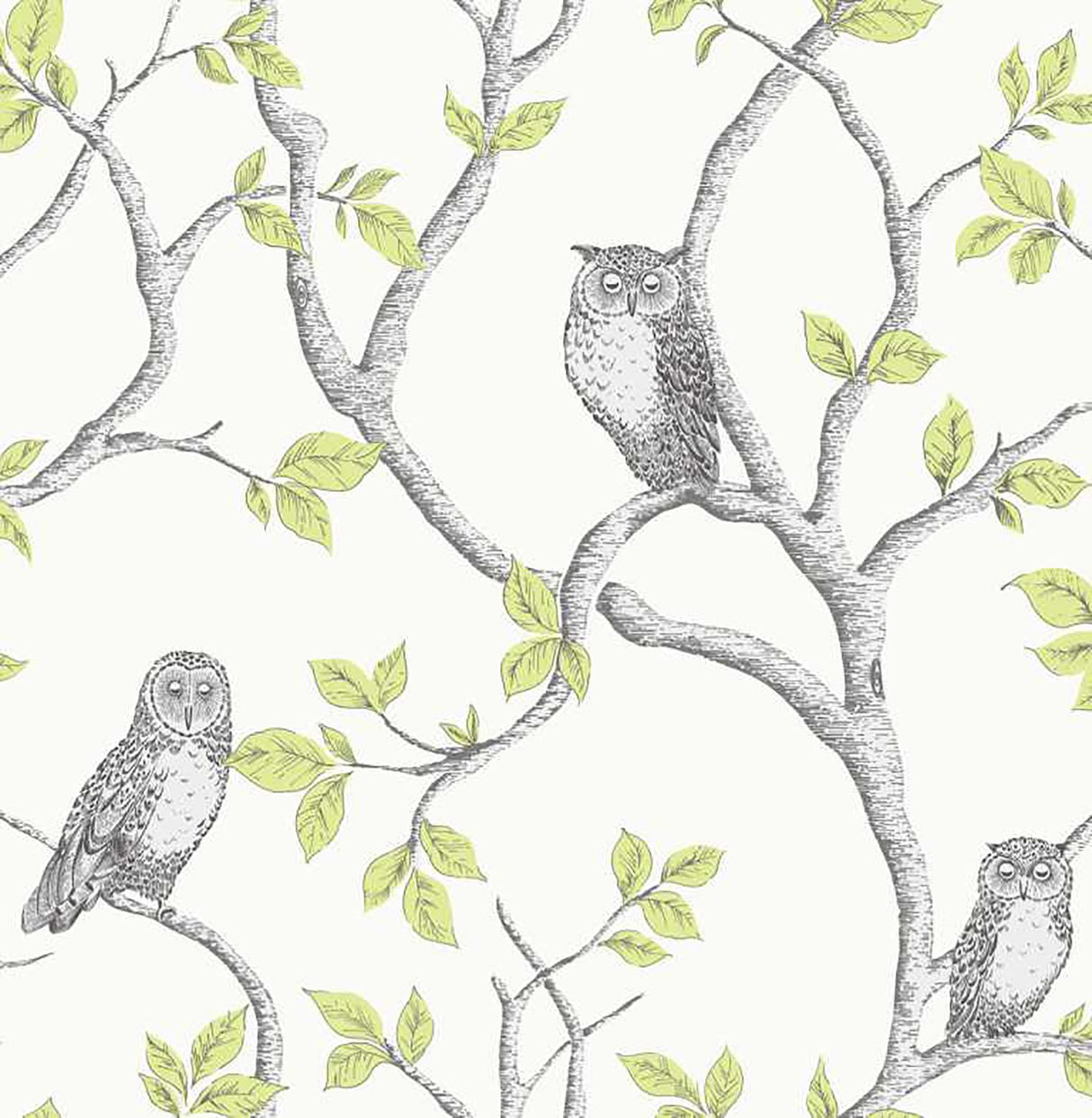 Brewster Home Fashions Linden Owl Green Wallpaper