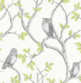 Brewster Home Fashions Linden Owl Green Wallpaper