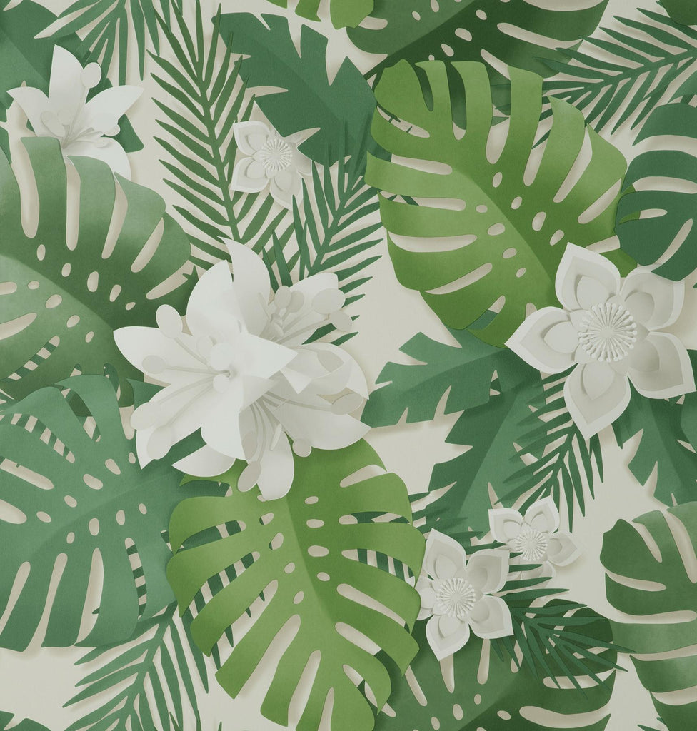 Brewster Home Fashions Dimensions Tropical Green Wallpaper