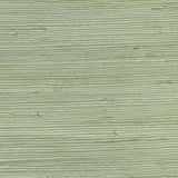 Brewster Home Fashions Kiyoshi Light Green Grasscloth Wallpaper