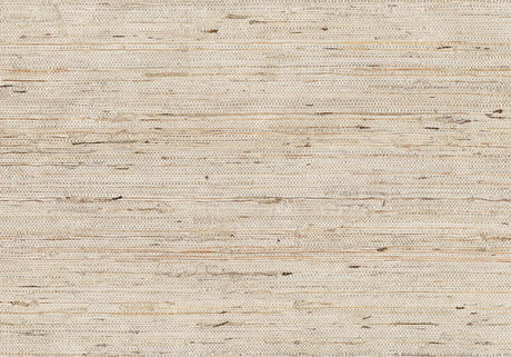 Brewster Home Fashions Kotone Cream Grasscloth Wallpaper