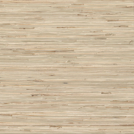 Brewster Home Fashions Macarena Beige Grasscloth Wallpaper
