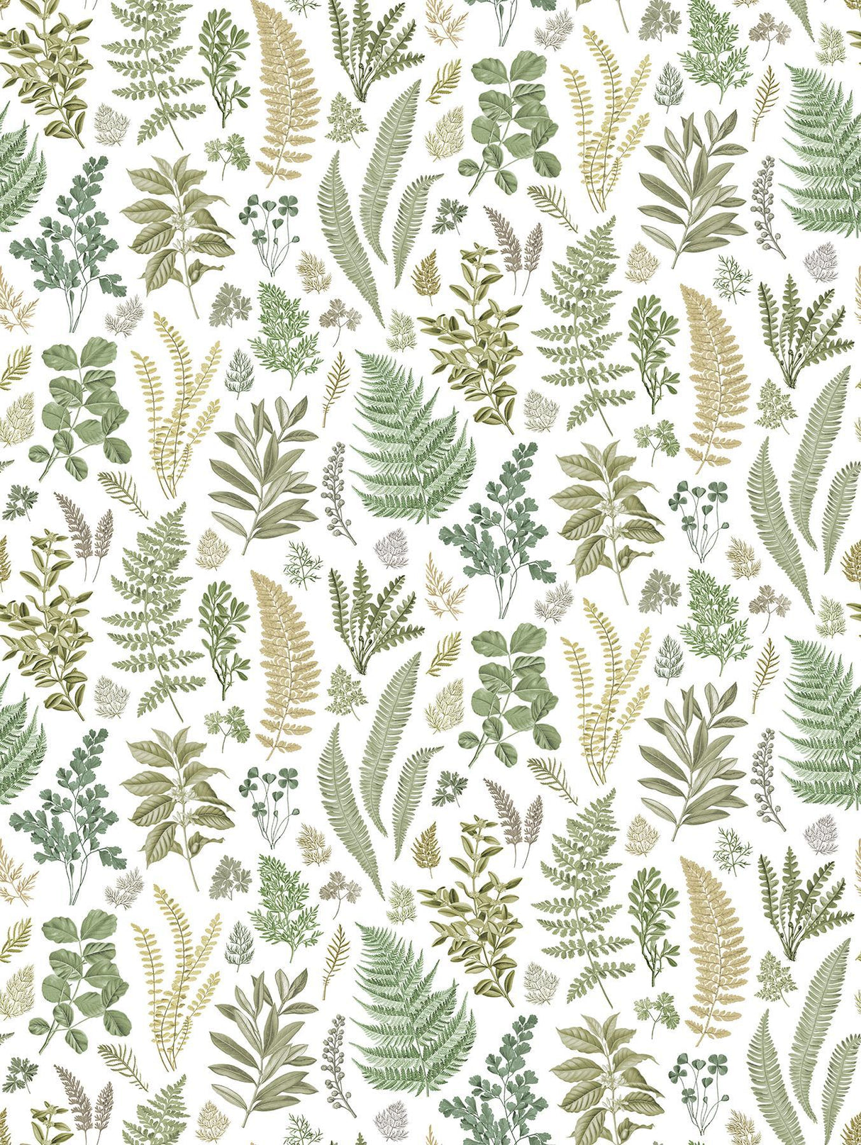 A-Street Prints Britta Green Herbs Wall Mural