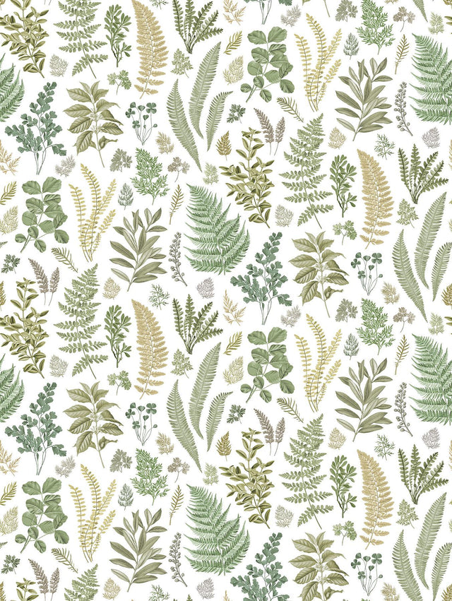 A-Street Prints Britta Green Herbs Wall Mural