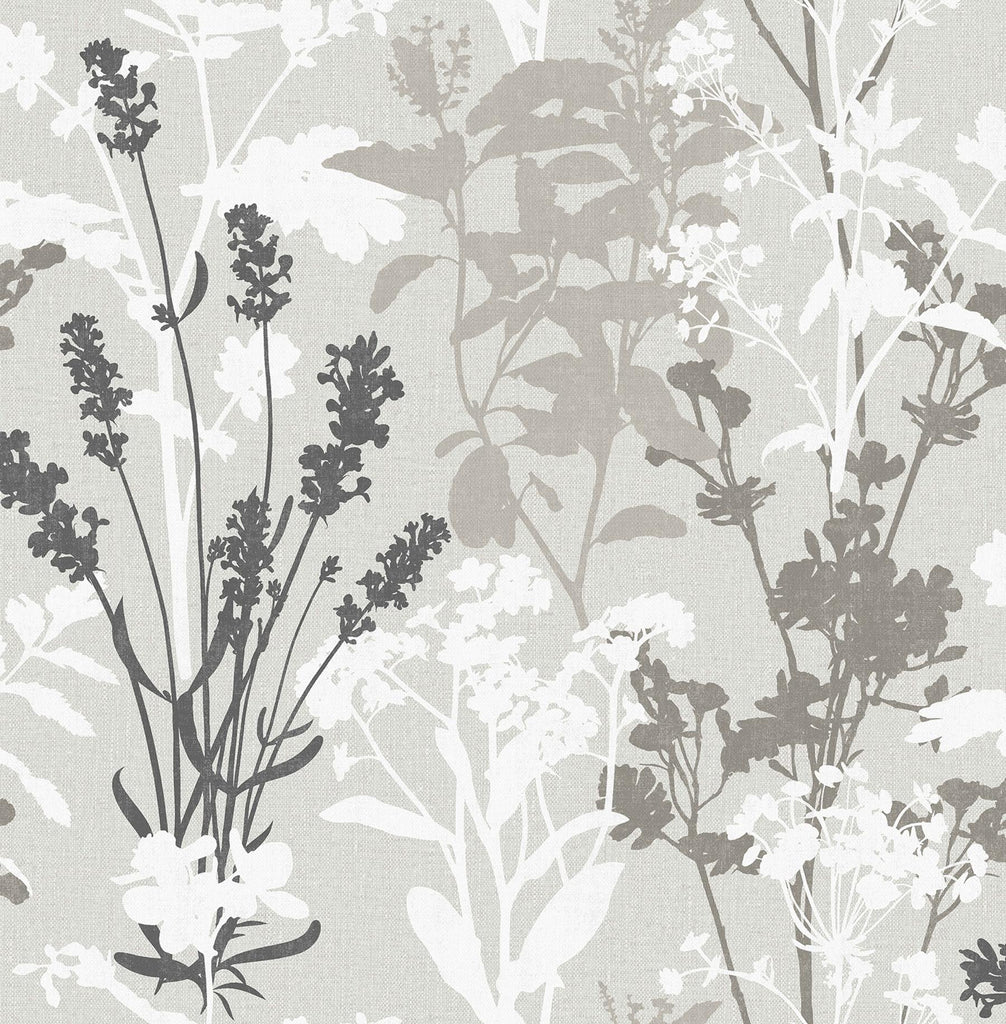Brewster Home Fashions Pippin Wild Flowers Grey Wallpaper