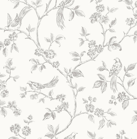 Brewster Home Fashions Aaron White Bird Trail Wallpaper