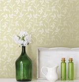 Brewster Home Fashions Cynthia Light Green Tonal Leaf Trail Wallpaper